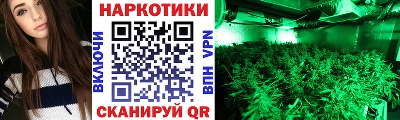 Купить наркоту Кувшиново Бошки Шишки KRAKEN ссылка ГАШИШ Мефедрон Галлюциногенные грибы