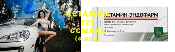 скорость Каменногорск