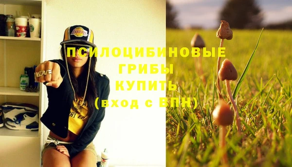 синтетический гашиш Абинск