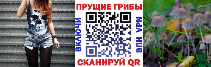 цены   shop состав  Галлюциногенные грибы мицелий  Кувшиново 